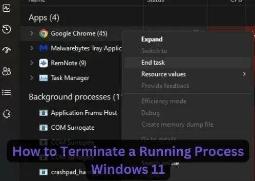 How to Terminate a Running Process Windows 11