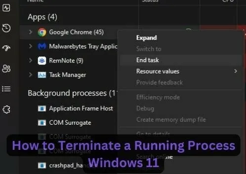 How to Terminate a Running Process Windows 11 | Verge Tech